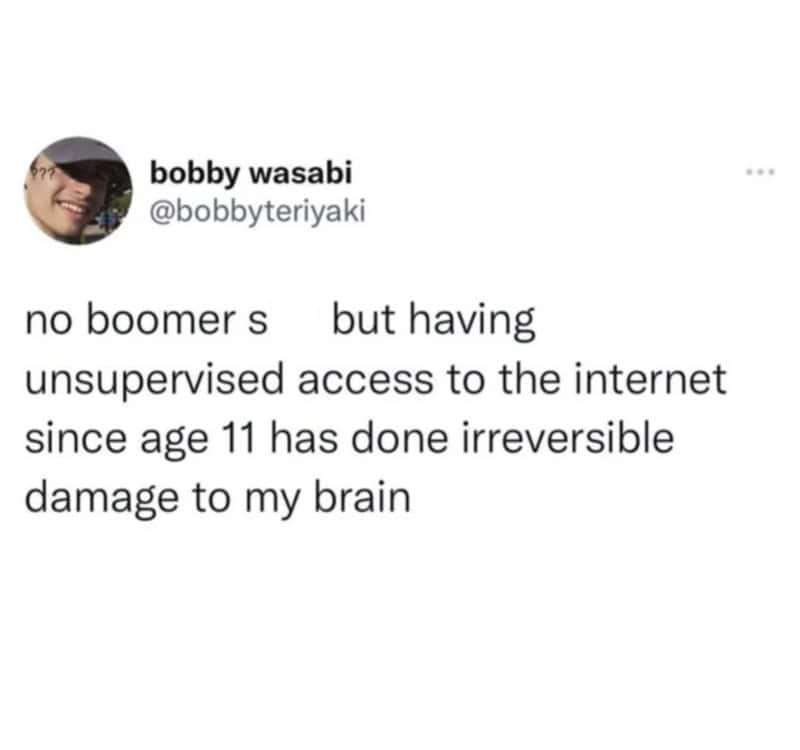 Twitter post by bobby wasabi about internet access and brain damage.