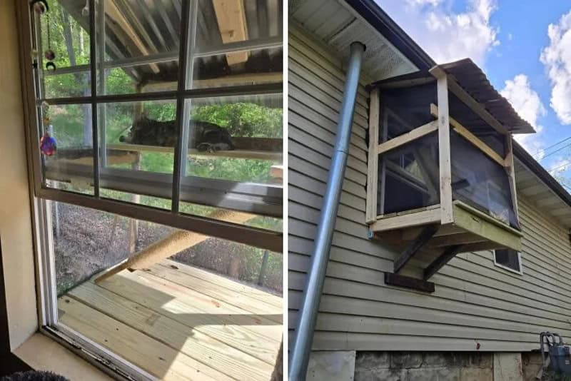 Unusual homemade cat enclosure attached to house with a wooden frame and screen.