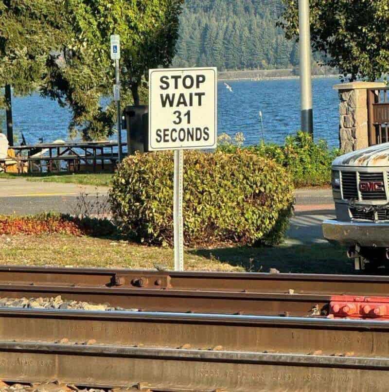 Sign says 'STOP WAIT 31 SECONDS' near train tracks with water and trees in background.