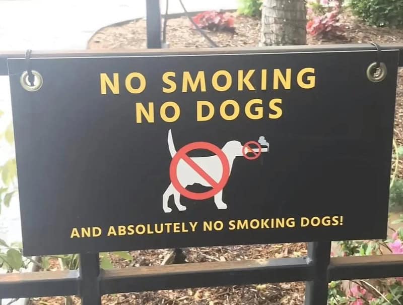 No smoking, no dogs, and absolutely no smoking dogs sign with a dog illustration and a no-smoking no.