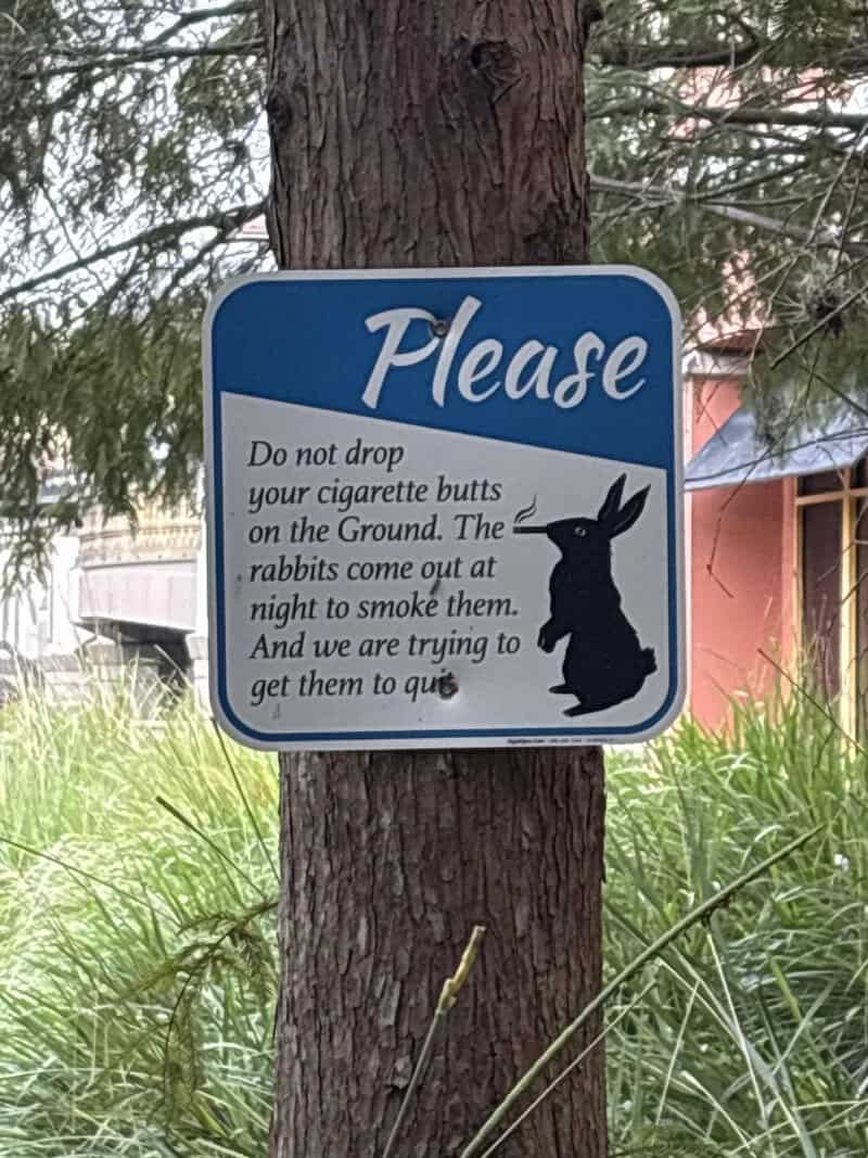 Sign asking not to drop cigarette butts, with a rabbit illustration, on a tree.