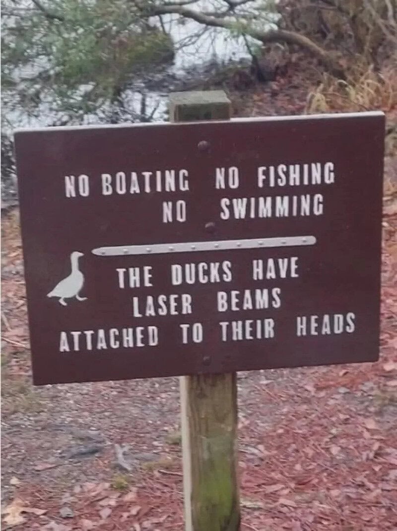 Sign with rules: No boating, no fishing, no swimming. Ducks have laser beams attached to their heads.