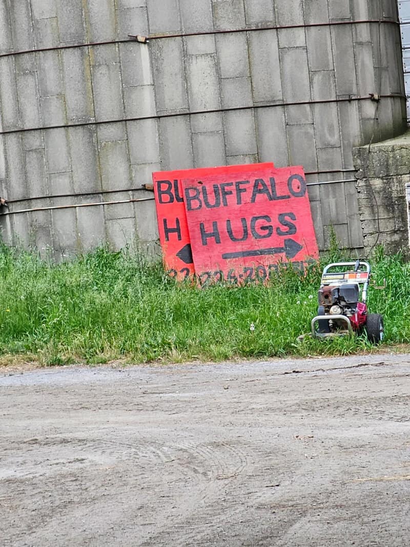Sign for Buffalo Hugs with an arrow pointing right, on a grassy area near a building.