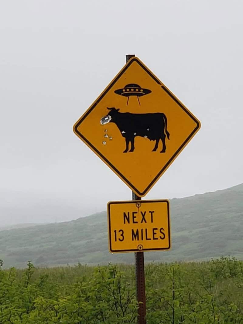 Humorous warning sign with cow, UFO, and alien abduction text, next 13 miles.