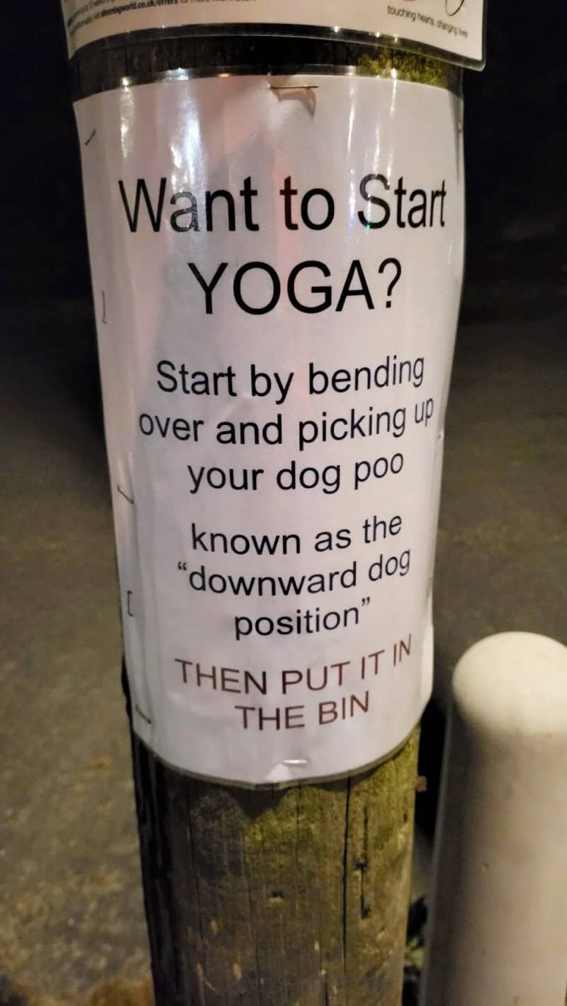 Want to Start YOGA? Start by bending over and picking up your dog poo.