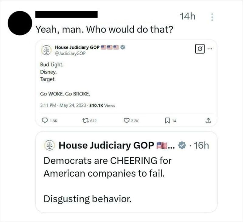 Screenshot of social media posts criticizing Democrats and supporting GOP.