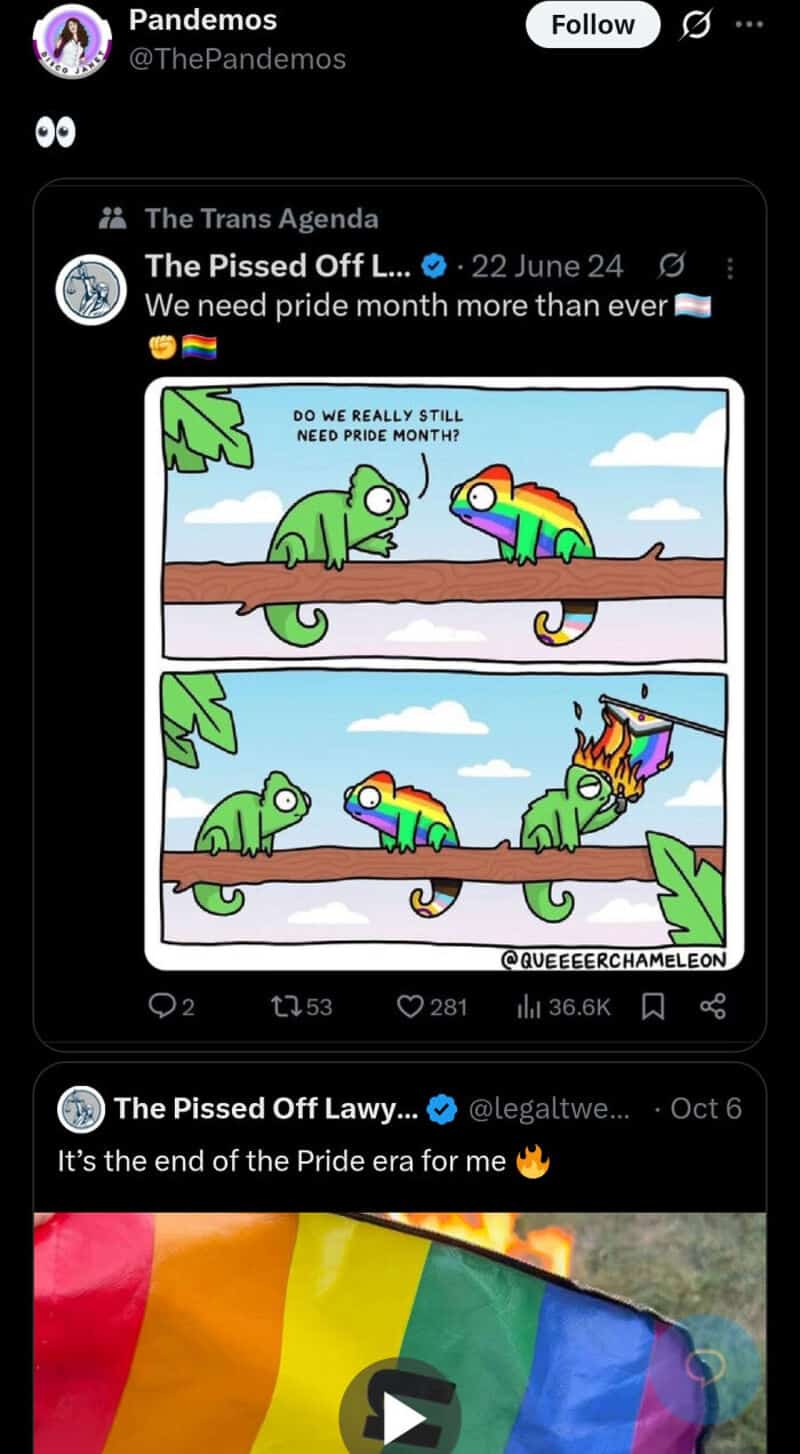 Cartoon chameleon and rainbow unicorn with rainbow flag, celebrating Pride.
