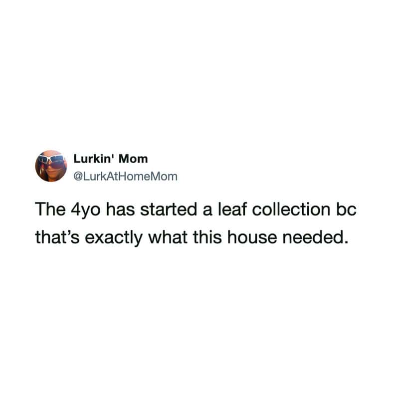 A tweet from Lurkin' Mom about a 4-year-old starting a leaf collection.