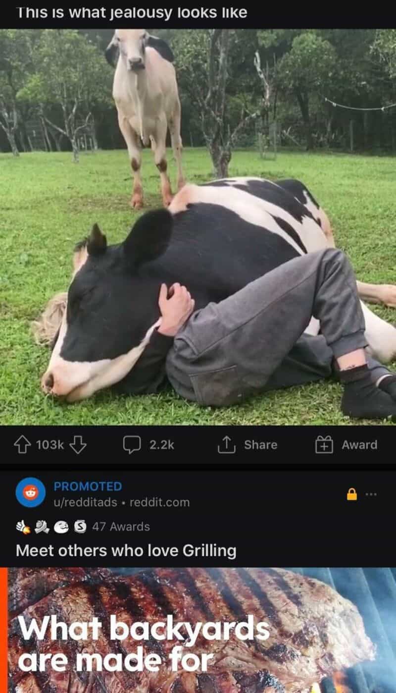 Child hugging a cow lying on the grass with a horse in the background.