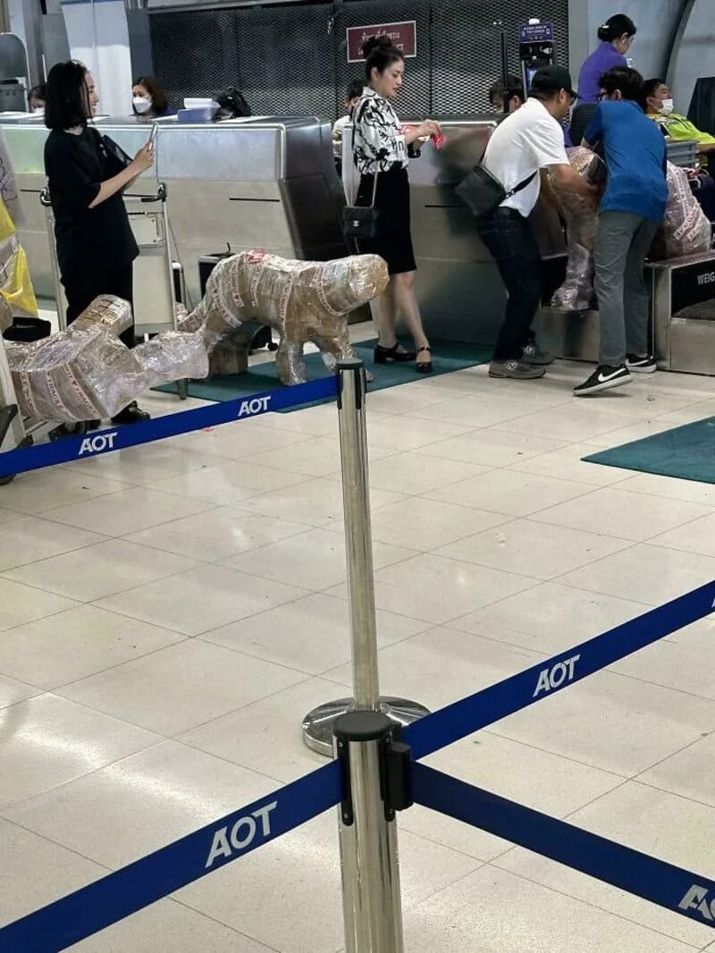 Dog sculpture at airport check-in counter with people in line.