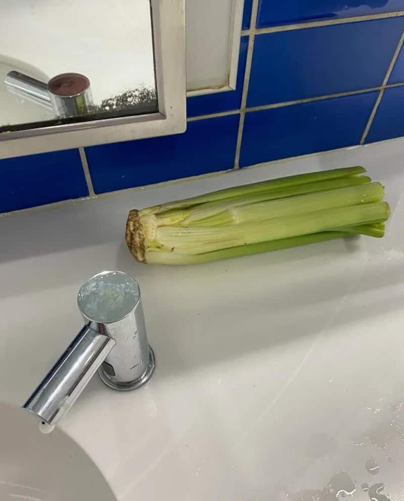 A celery stalk placed on a bathroom sink next to a faucet.