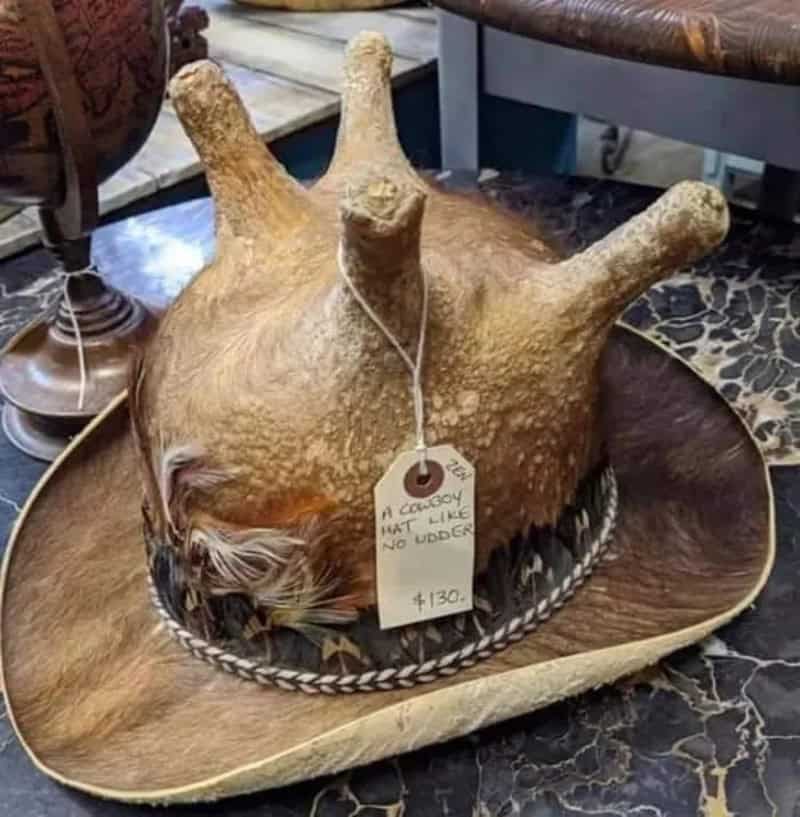 A hat designed to look like a roasted chicken with a tag and feather.