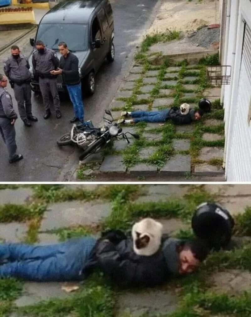 Person lying on the ground with a panda mask, police officers nearby.