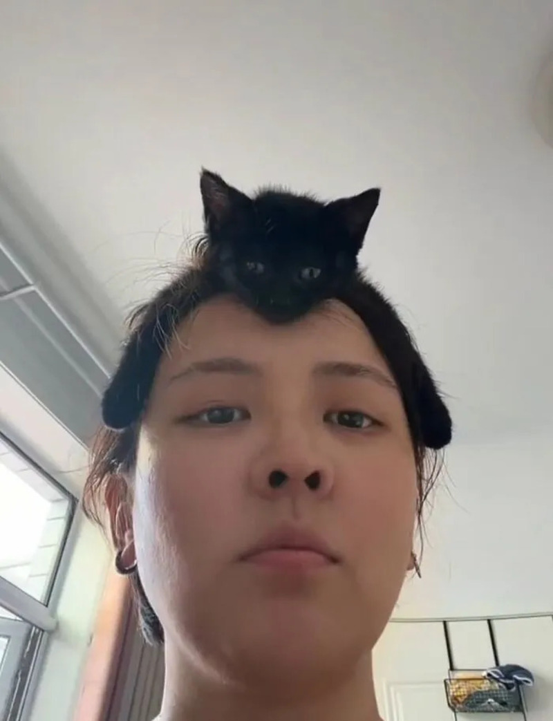 Young woman with a small black kitten on her head, looking at the camera.