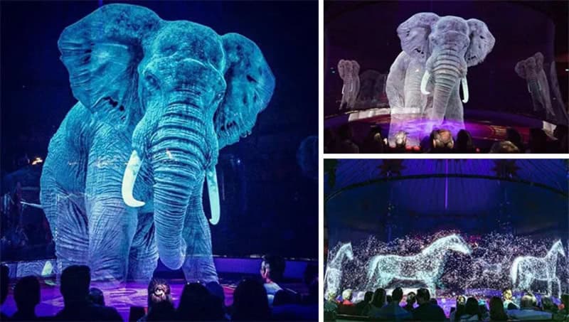 Three images of elephants in a circus, with one large elephant and a white elephant performing.