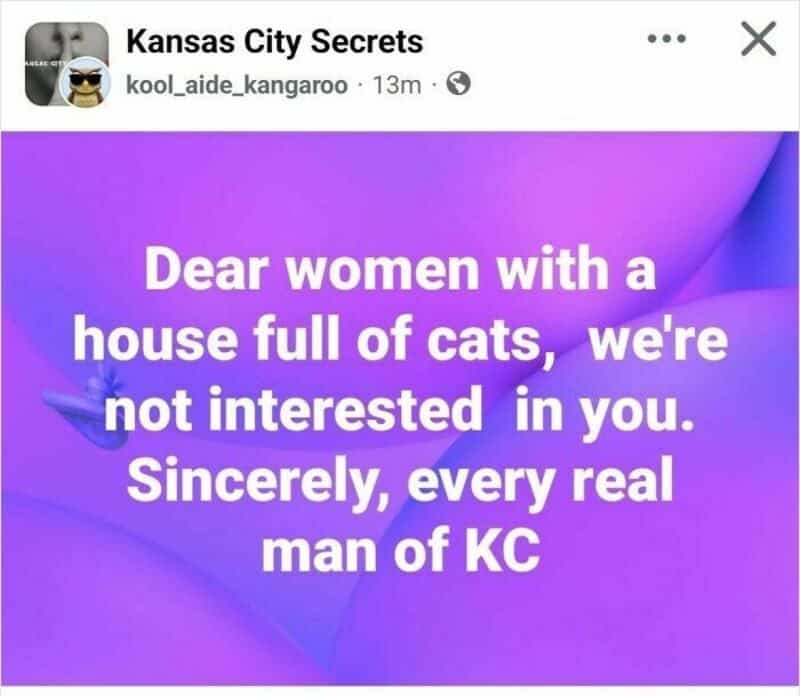 Dear women with a house full of cats, we're not interested in you. Sincerely, every real man of KC.