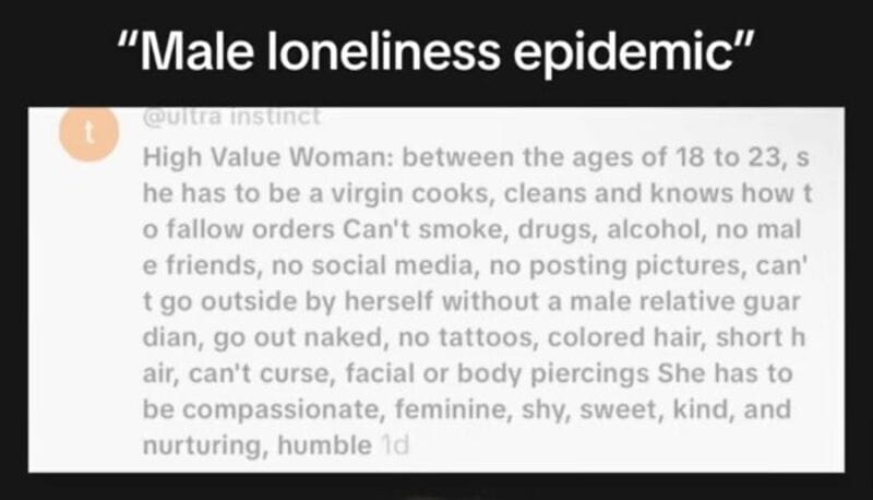 Quote about male loneliness epidemic from Twitter, discussing ideal woman traits.