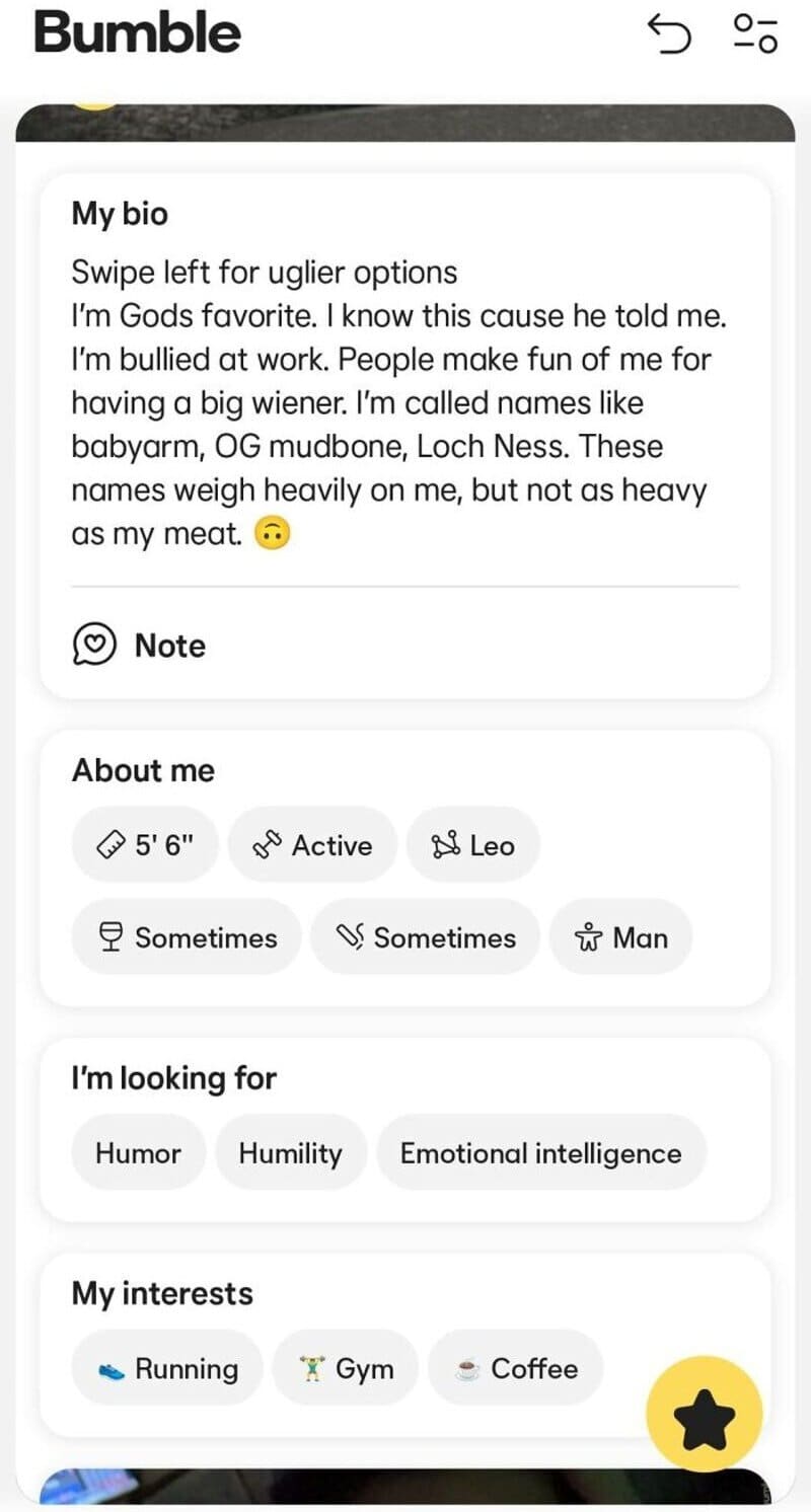 Bumble profile with bio, about me, looking for, and interests sections.