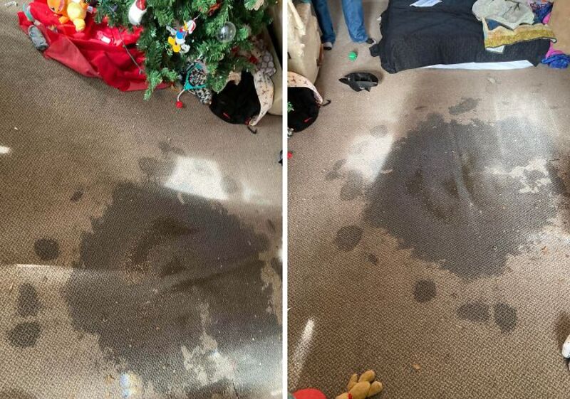 Dirty carpet with water stains and scattered items in a cluttered room.