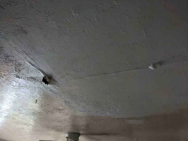 Ceiling with a hole and water damage, part of a property in disrepair.