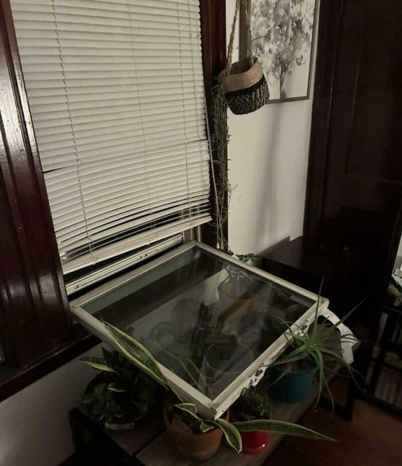 A glass terrarium on a table with plants and a window with blinds behind it.