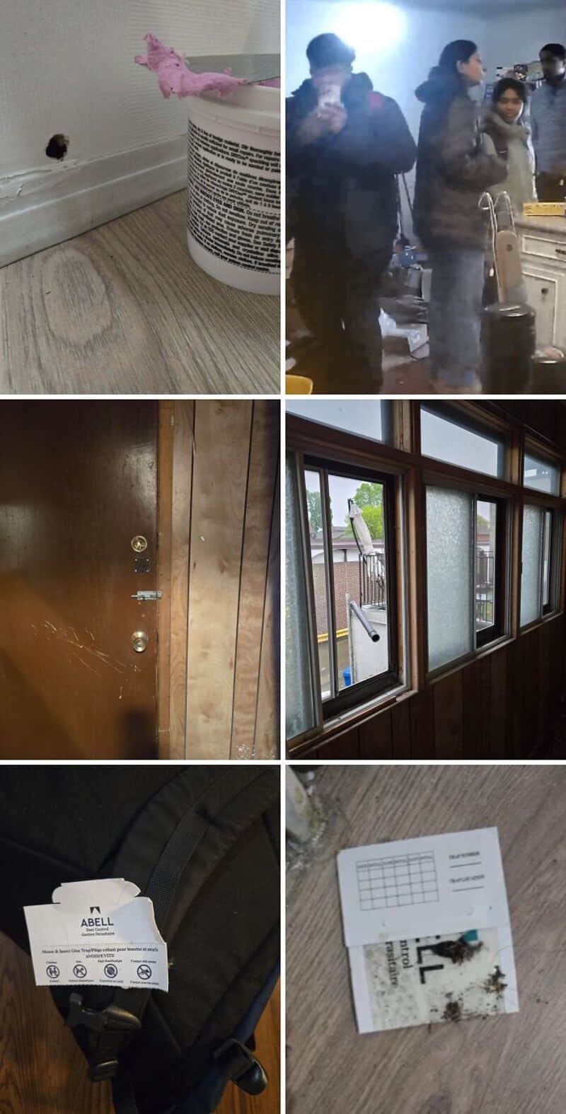 A collage of four images showing issues with landlords and rental properties.