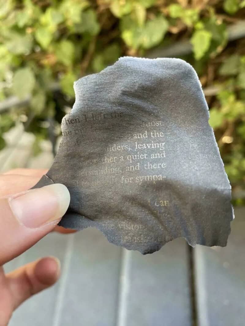 Torn piece of paper with faint text, held by a hand against a leafy background.