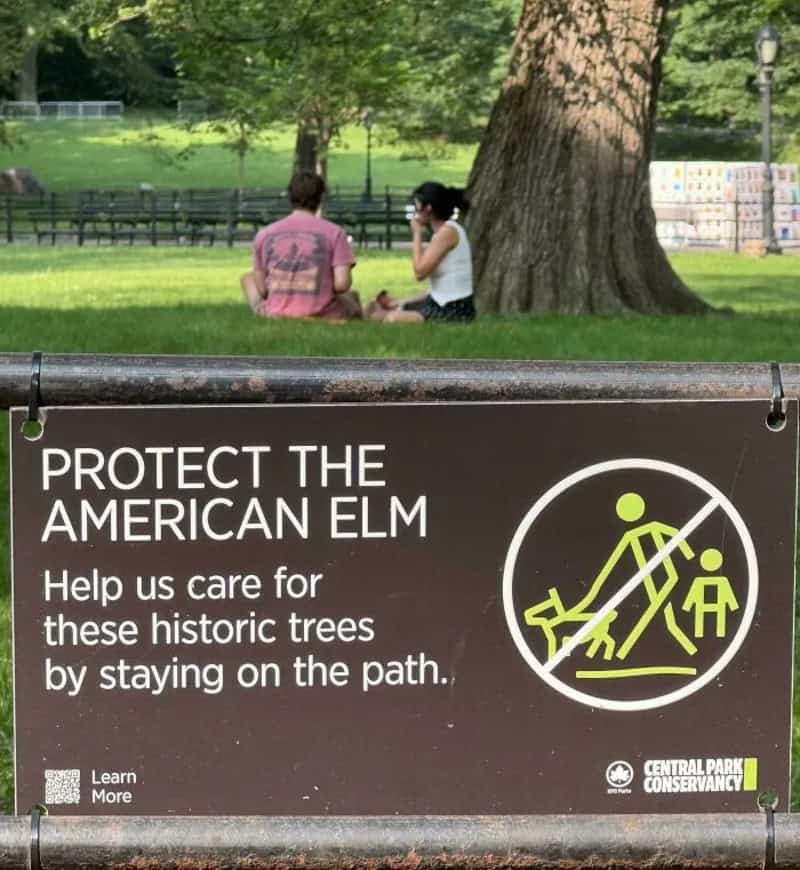 Sign reading 'Protect the American Elm, help us care for these historic trees by staying on the path.