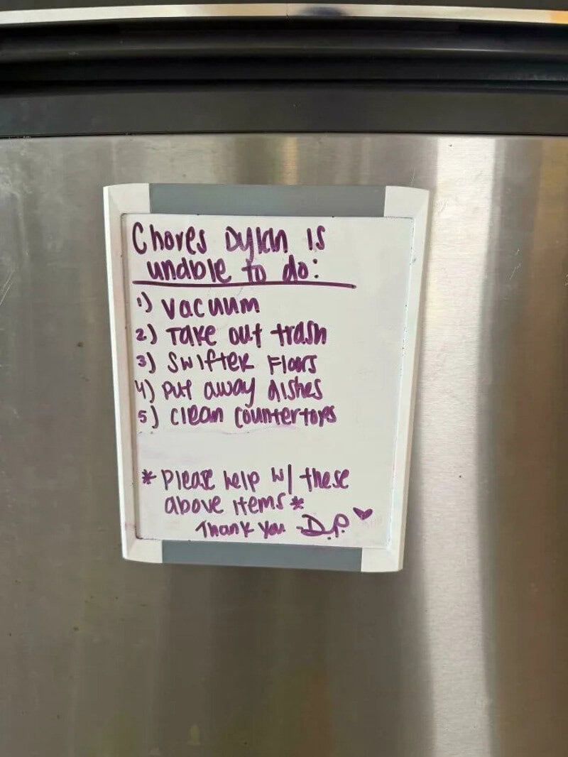 Chores dyson is unable to do: vacuum, take out trash, switch floors, put away dishes, clean counters.
