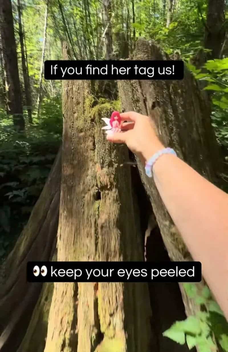 Hand holding a pink tag on a tree with text overlays about finding her tag.