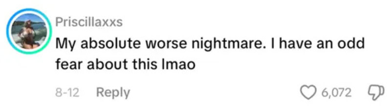 A social media comment about a nightmare and fear, posted by Priscillaxxs.