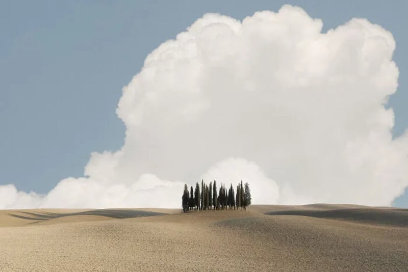 A small group of trees on a hilltop under a large, fluffy cloud.