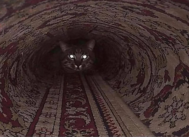 Black cat with glowing eyes inside a long, dark tunnel.