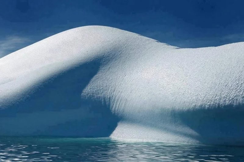 Large snow-covered iceberg with a smooth, curved surface floating in water.