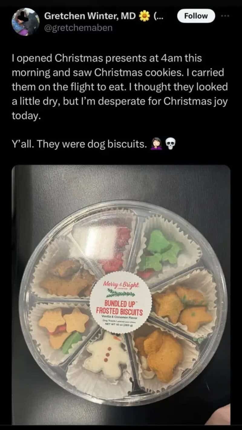 Christmas cookies in a plastic container, some shaped like Christmas trees and stars.