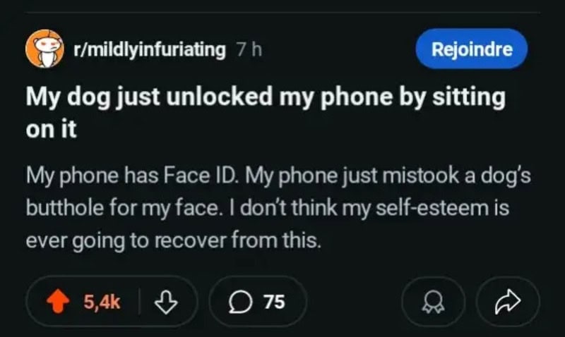 My dog unlocked my phone by sitting on it, mistaken for Face ID.