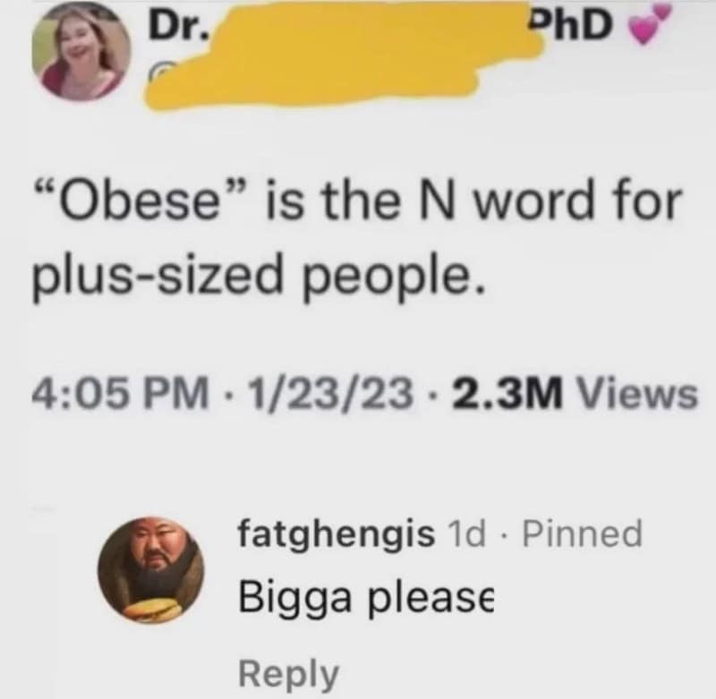 Post claiming 'Obese' is the N word for plus-sized people with a comment saying 'Bigga please'.