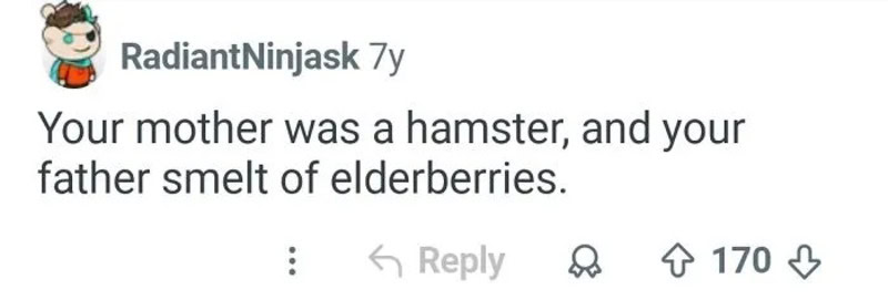 Your mother was a hamster, and your father smelt of elderberries.