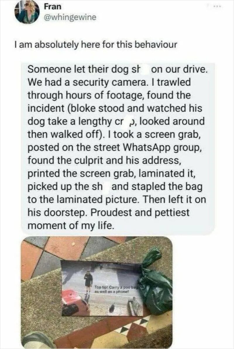 Person's tweet about catching a dog thief, with a photo of a laminated picture on the ground.