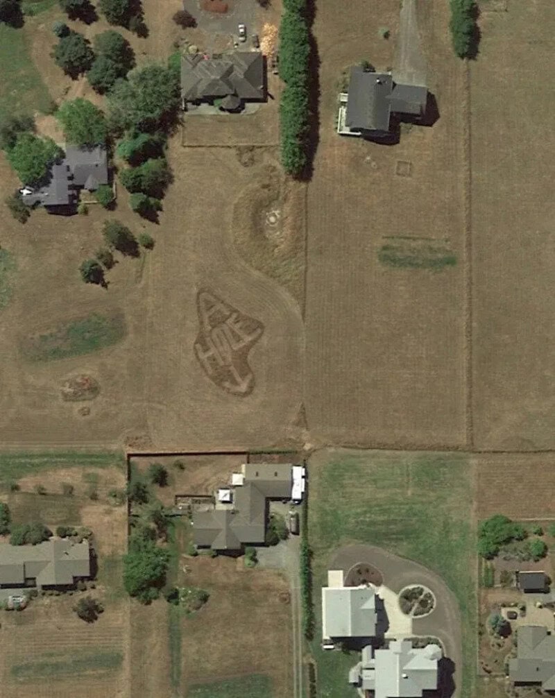 Aerial view of a backyard with a dinosaur-shaped garden bed and surrounding houses.