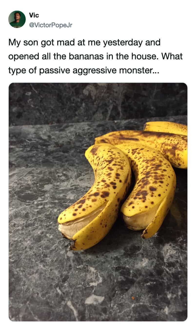 Three bananas on a dark countertop with a tweet about a son's reaction.