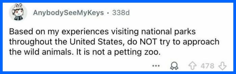 Based on my experiences visiting national parks throughout the United States, do NOT try to approach.