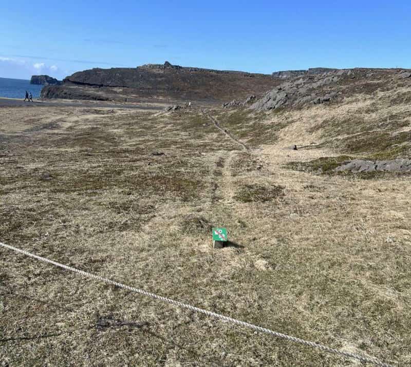 Open grassy landscape with a trail, cliffs in the background, and a blue sky.