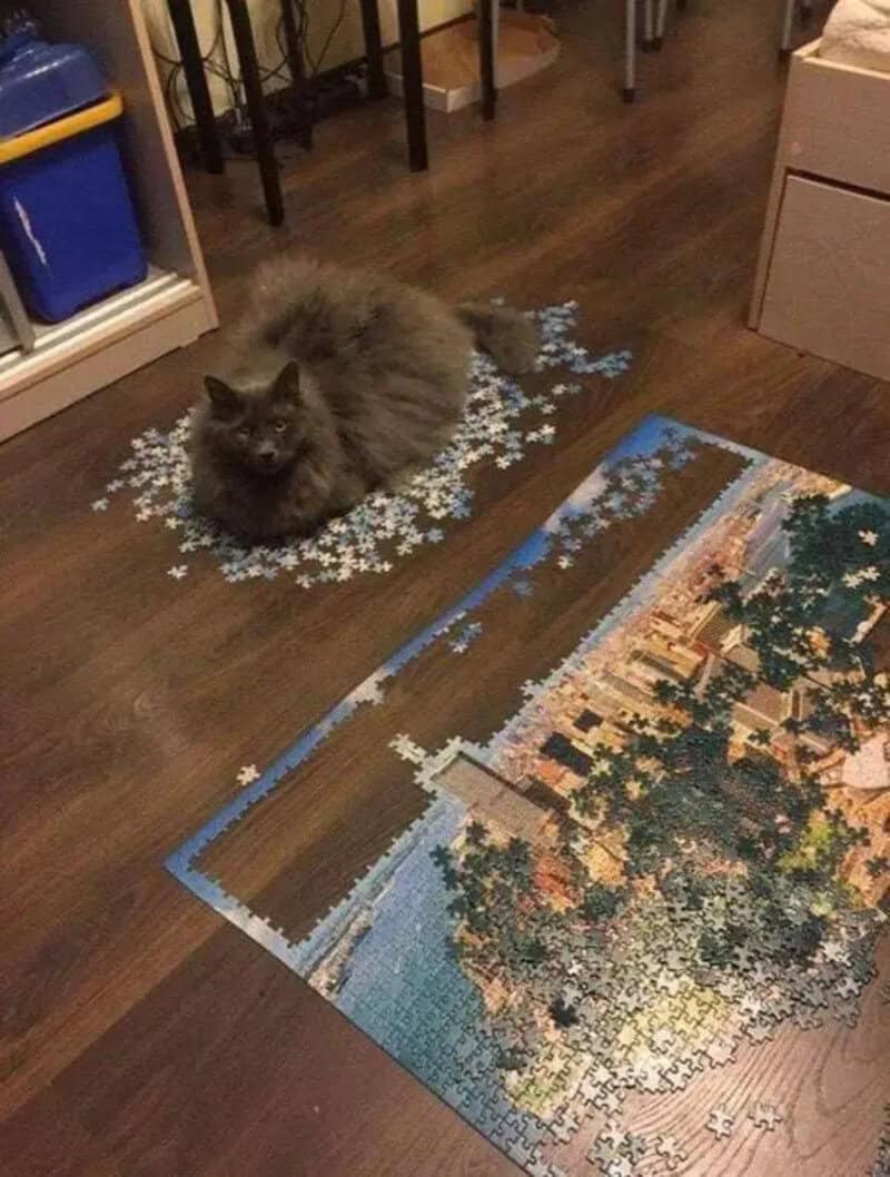 Fluffy gray cat sitting on a puzzle with a landscape scene.