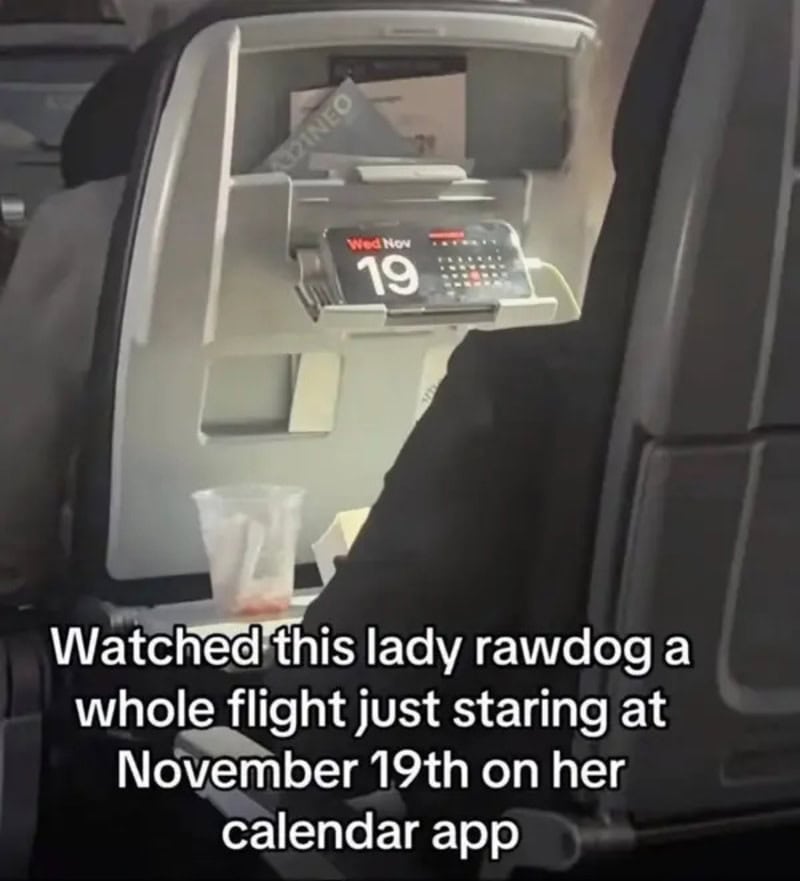 Lady staring at her calendar app on a flight, November 19th.