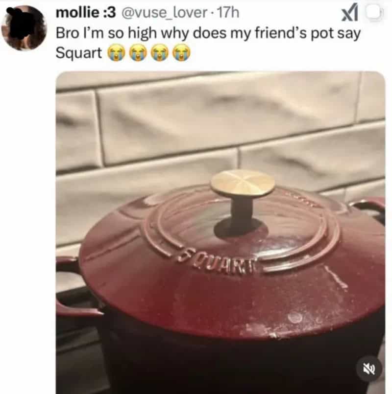 High pot with a lemon slice on the lid, caption about being high and a friend's comment.