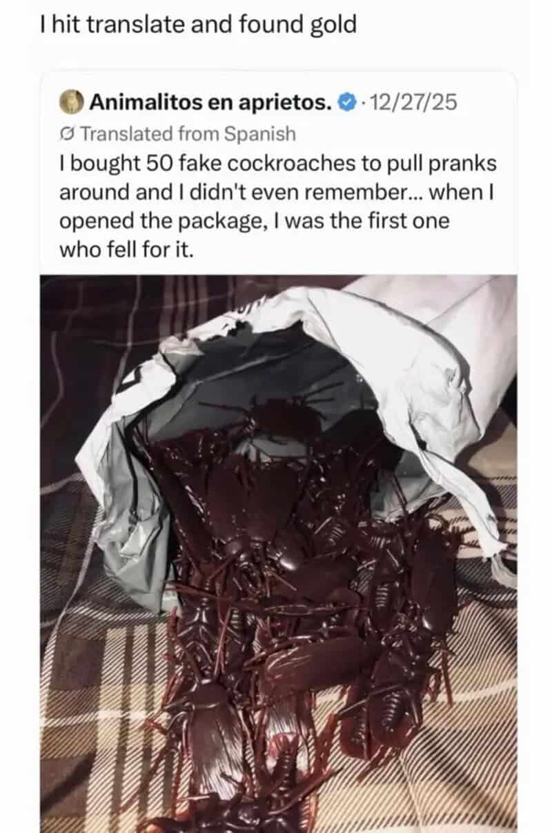 Fake cockroaches in a package, with some falling out.