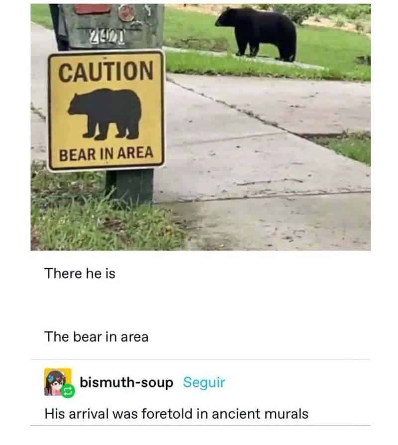 Caution bear in area sign with a bear and a bear in the background on grass.
