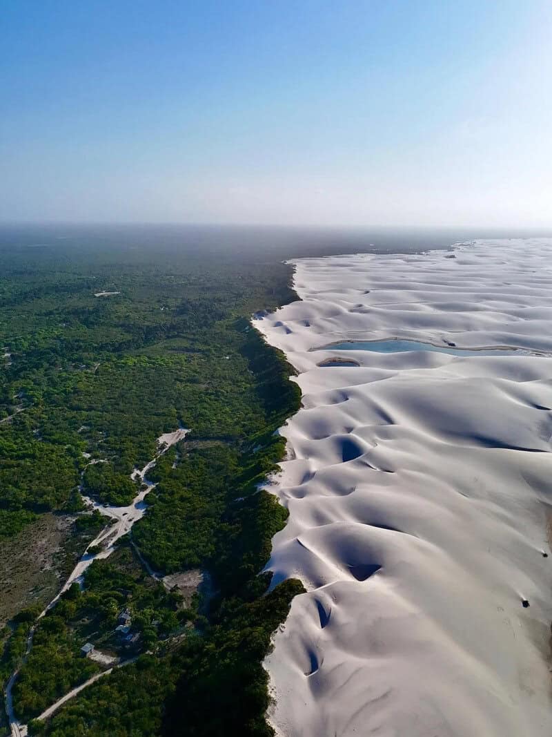 Aerial view of lush green forest on the left and white sand dunes on the right.