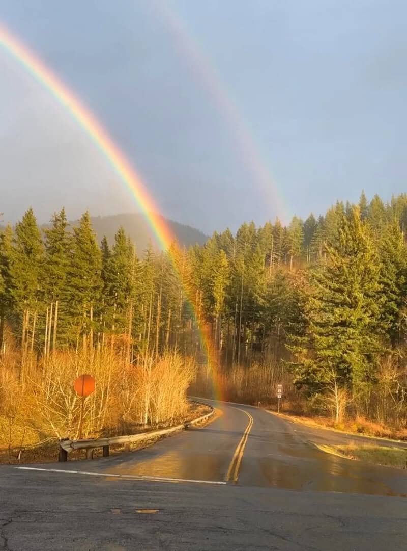 Double rainbow over a winding road through a forested area.
